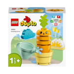 LEGO DUPLO Una carota che cresce V29